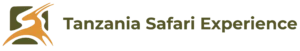 Tanzania Safari Experience