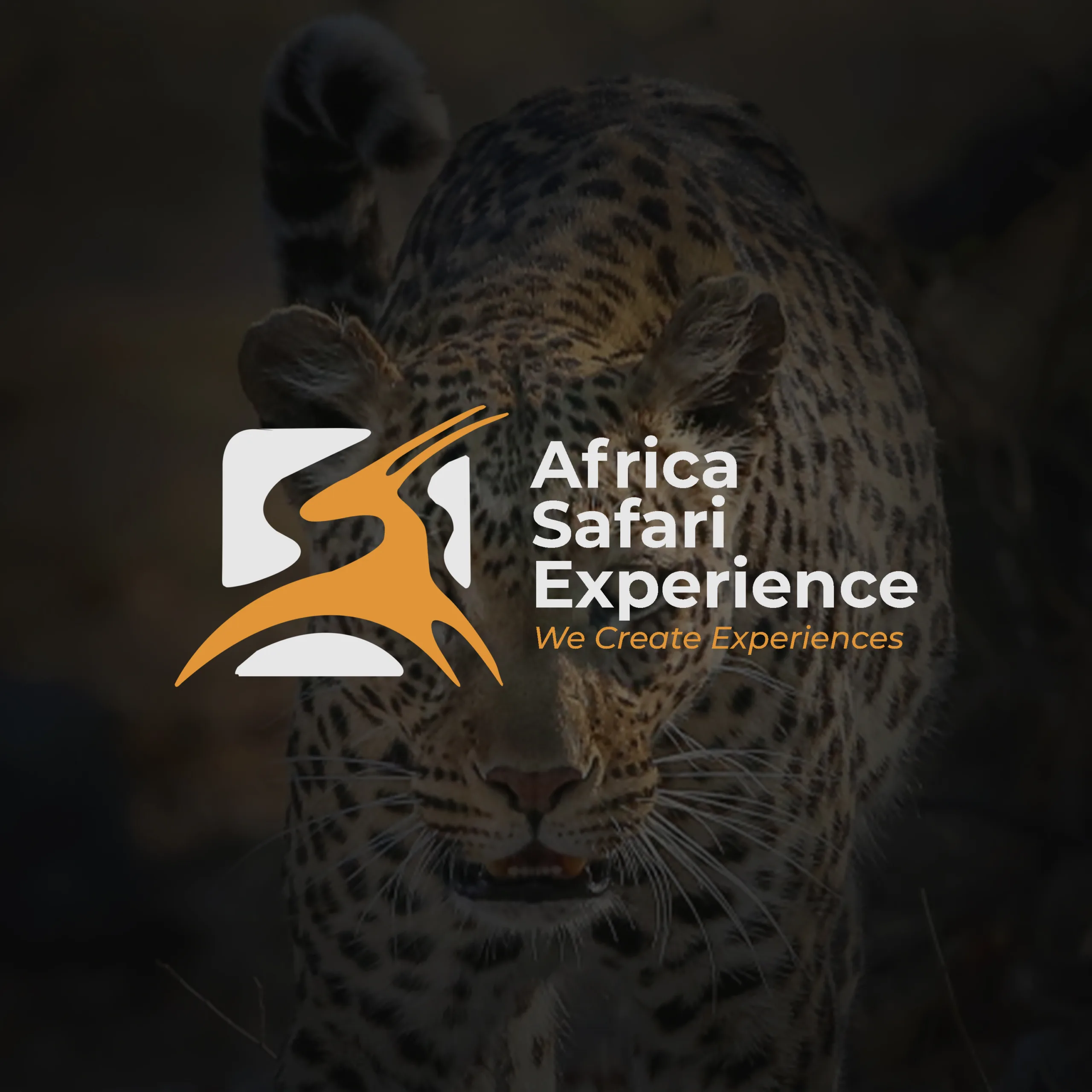 Africa Safari Experience Logo