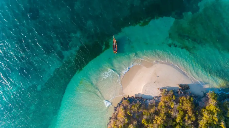Fly In and Out Safari From Zanzibar