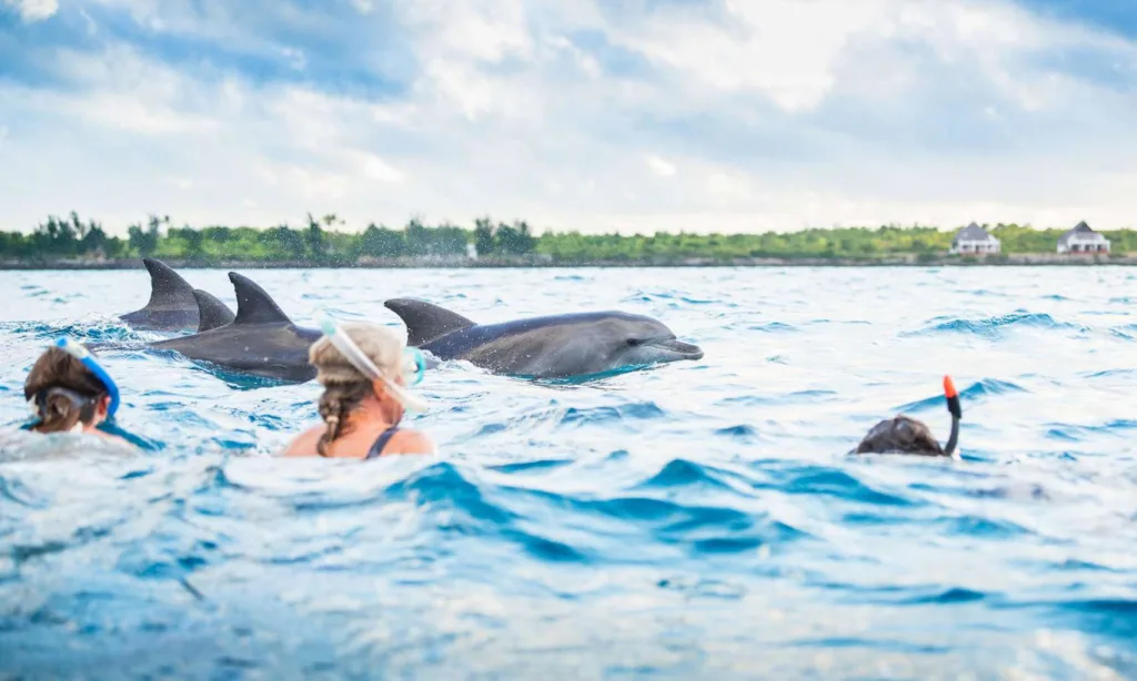 Matemwe Beach, Zanzibar Photo Gallery