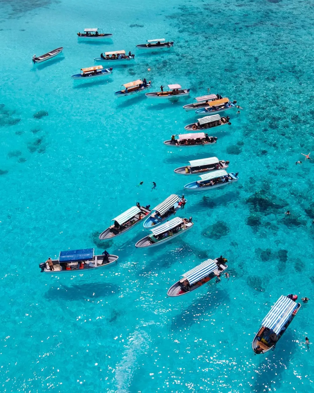 Mnemba Atoll Marine Adventure
