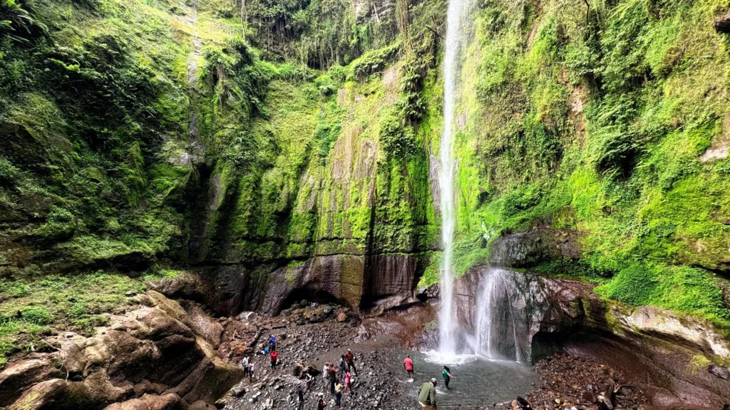Napuru Waterfalls Day Trip Excursion
