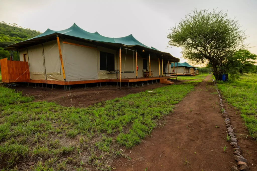 Safari Haven Serengeti - Tanzania Safari Experience