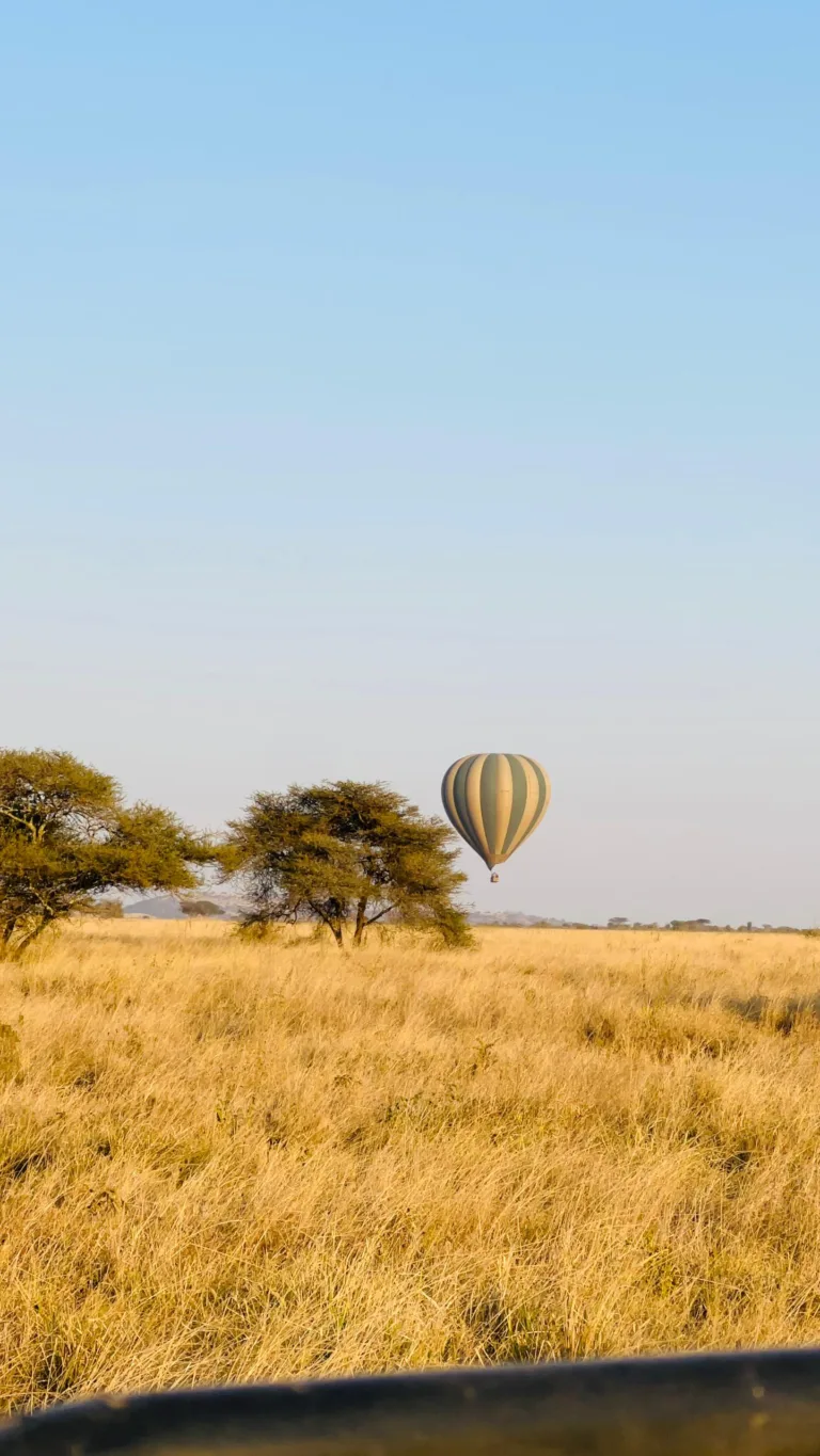 Serengeti National Park Photo