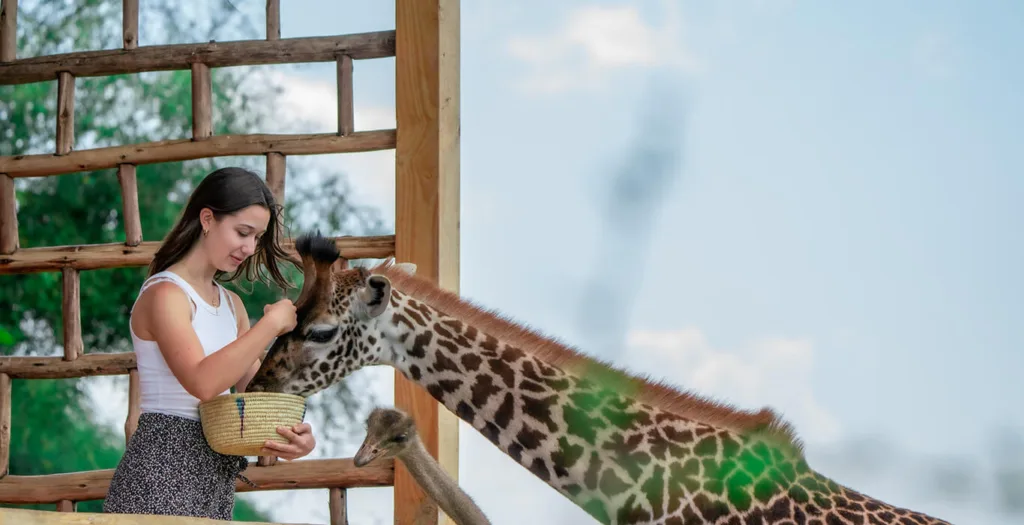 Serval Wildlife Sanctuary