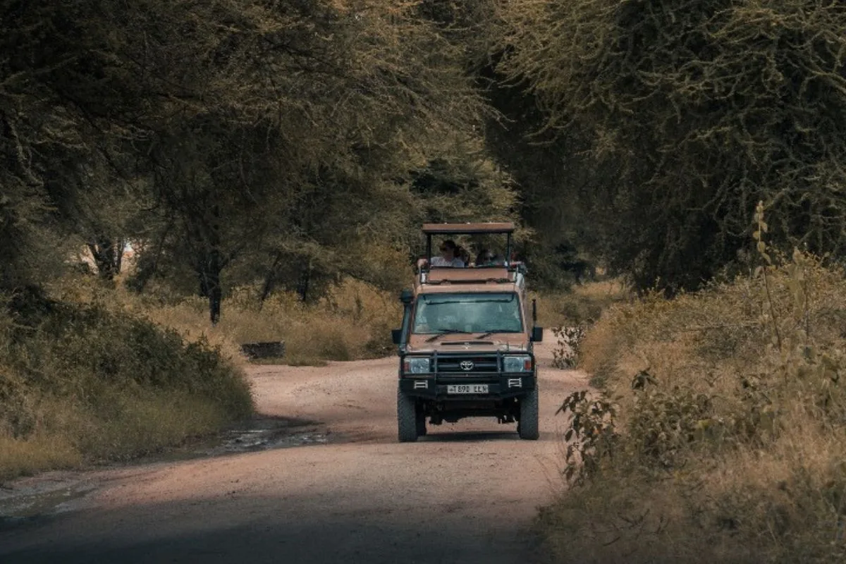 Tanzania Safari Experience Jeep
