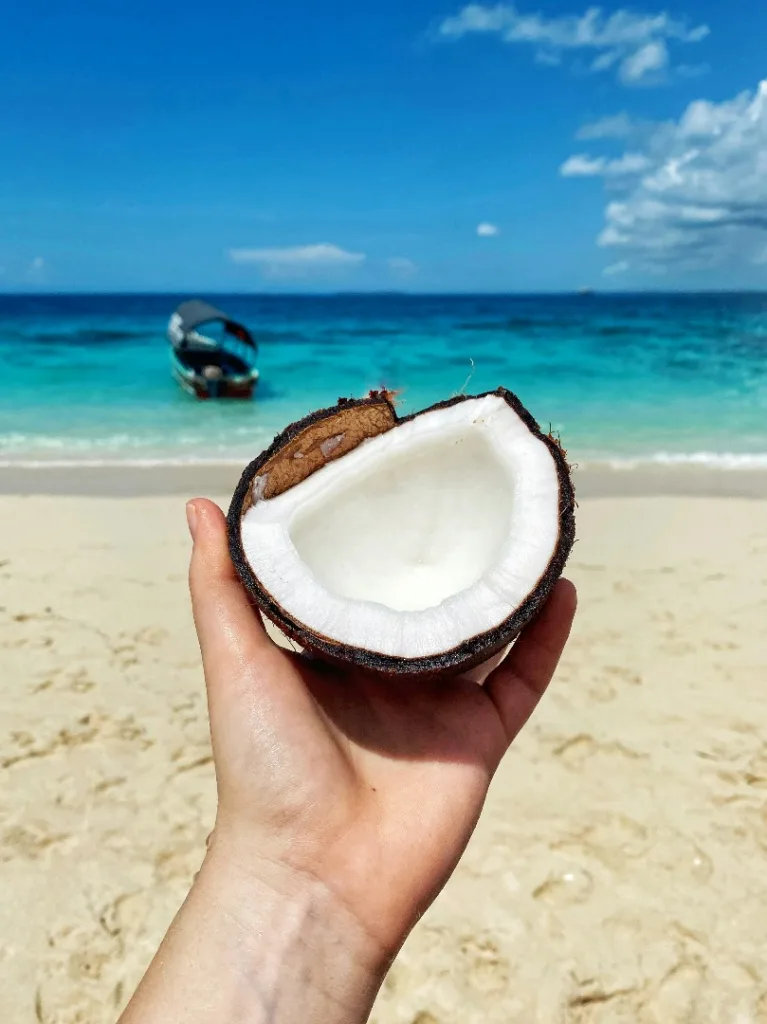 Travel to Zanzibar - Beach Holidays