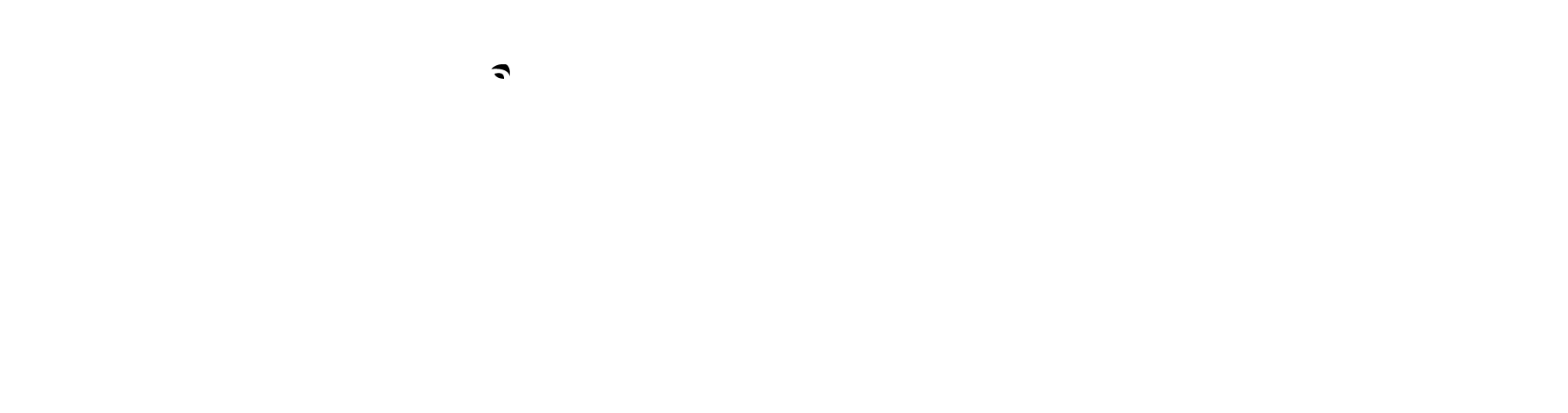 Africa Safaris