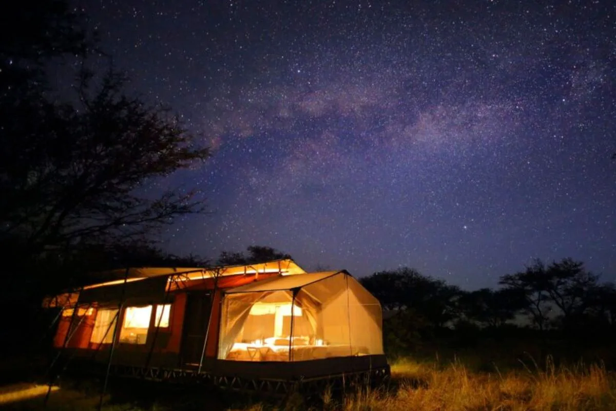 Bush Meals & Star Gazing - Tanzania Safari Experience