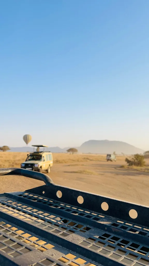 Central Serengeti (Seronera) Photo Gallery - Tanzania Safari Experience