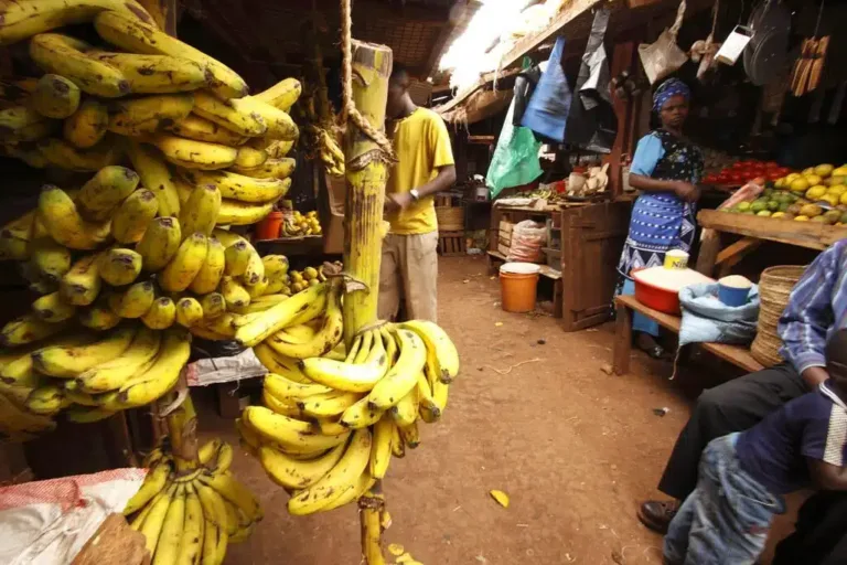 Colorful Karatu Markets - Tanzania Safari Experience