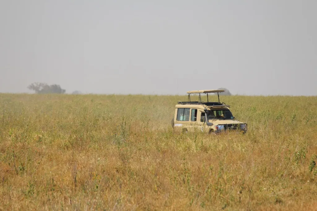 Game Drive In Tanzania Safari - Tanzania Safari Experience