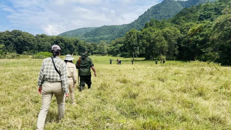 Walking safari in Arusha National Park
