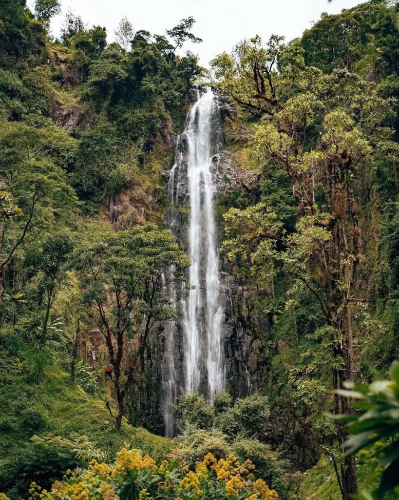 Materuni Waterfalls & Village Day Trip with Coffee Tour