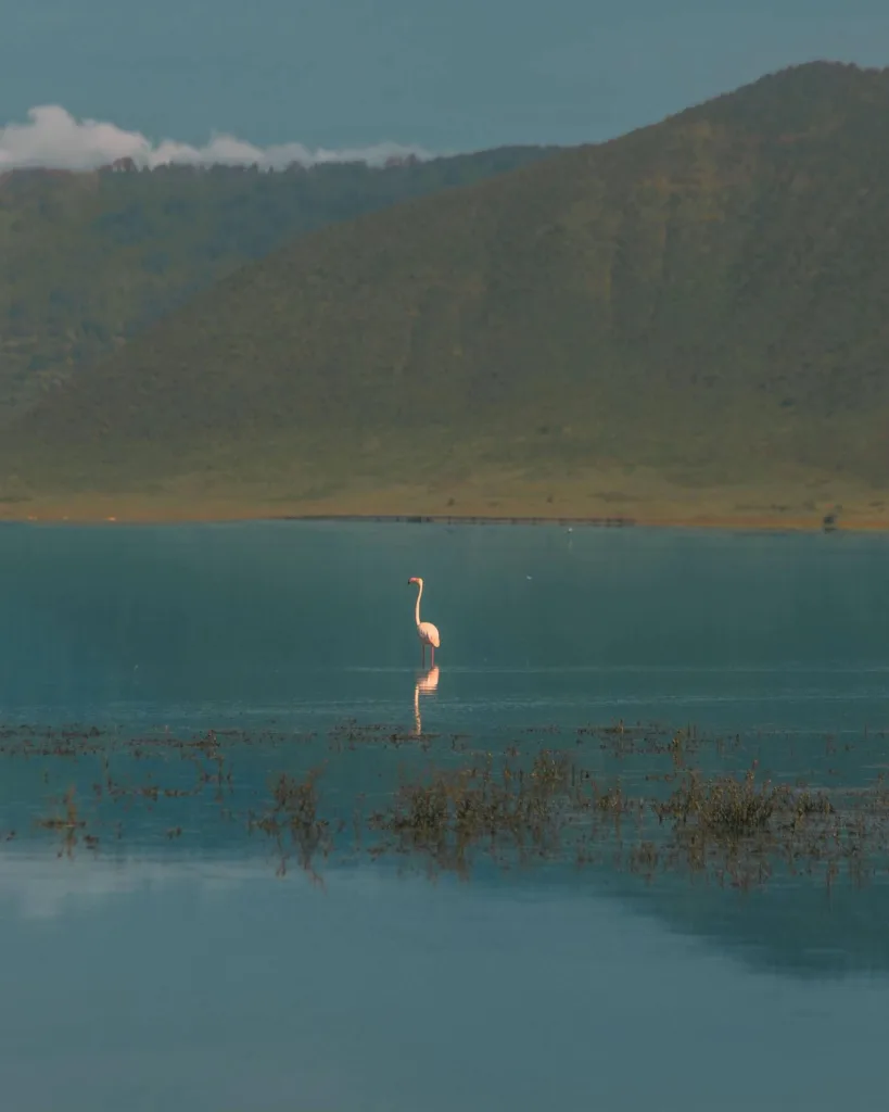 Ngorongoro Crater Photos - Tanzania Safari Experience