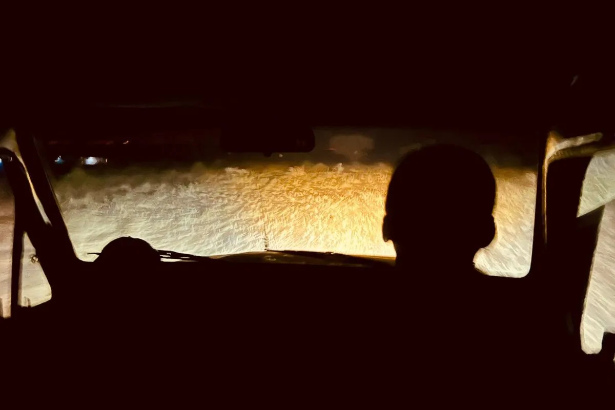 Night Game Drives - Tanzania Safari Experience