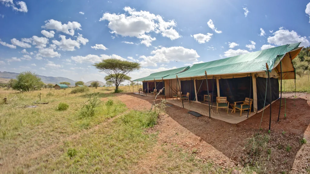 Touren & Safari Nyikani Camp – Safari-Führer für die zentrale Serengeti