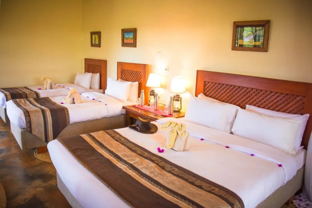 Rooms and Accommodation at Marera Valley Lodge - Tanzania Safari Experience