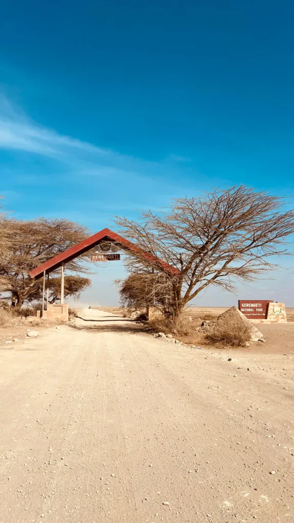 Safari itinerary image