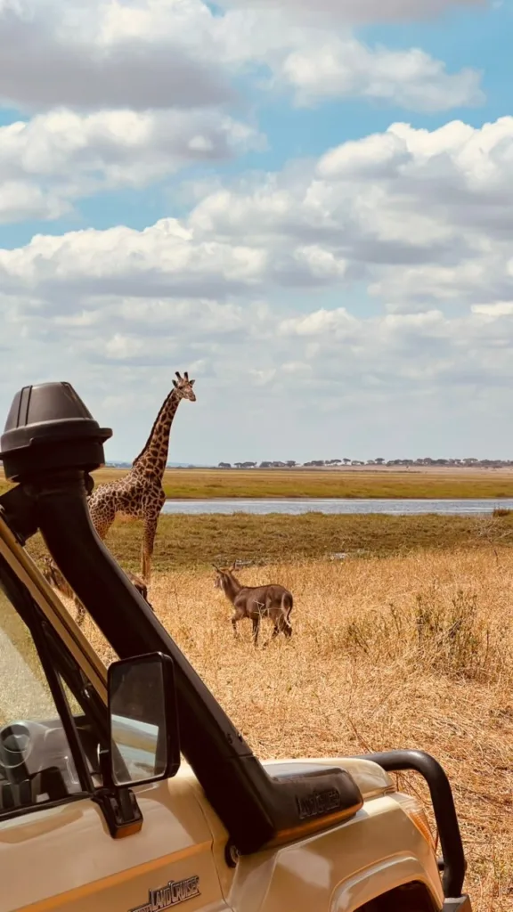 Tarangire National Park Photo Gallery - Tanzania Safari Experience