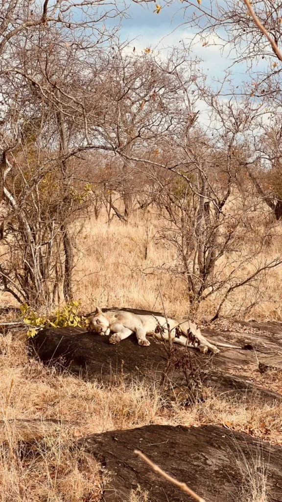 Tarangire National Park Photo Gallery - Tanzania Safari Experience