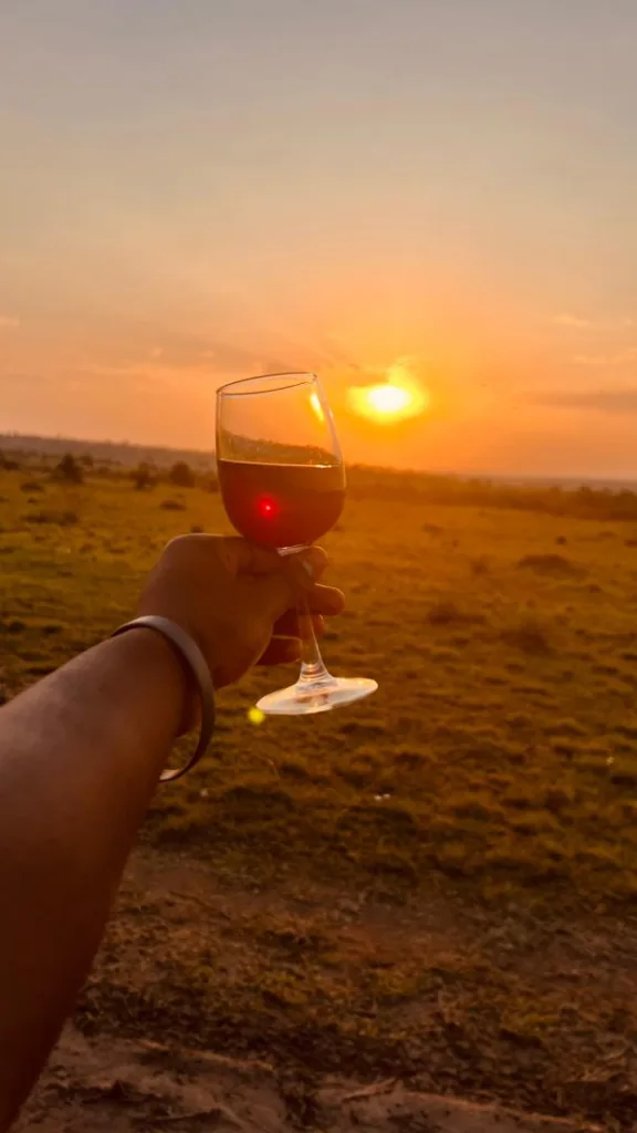 Bush meals & sundowners - Serengeti National Park