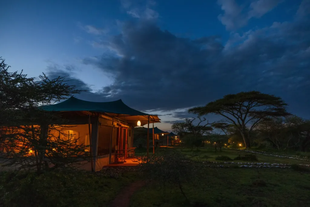 Safari Haven Migration Camp - kogatende - Tanzania Safari Experience