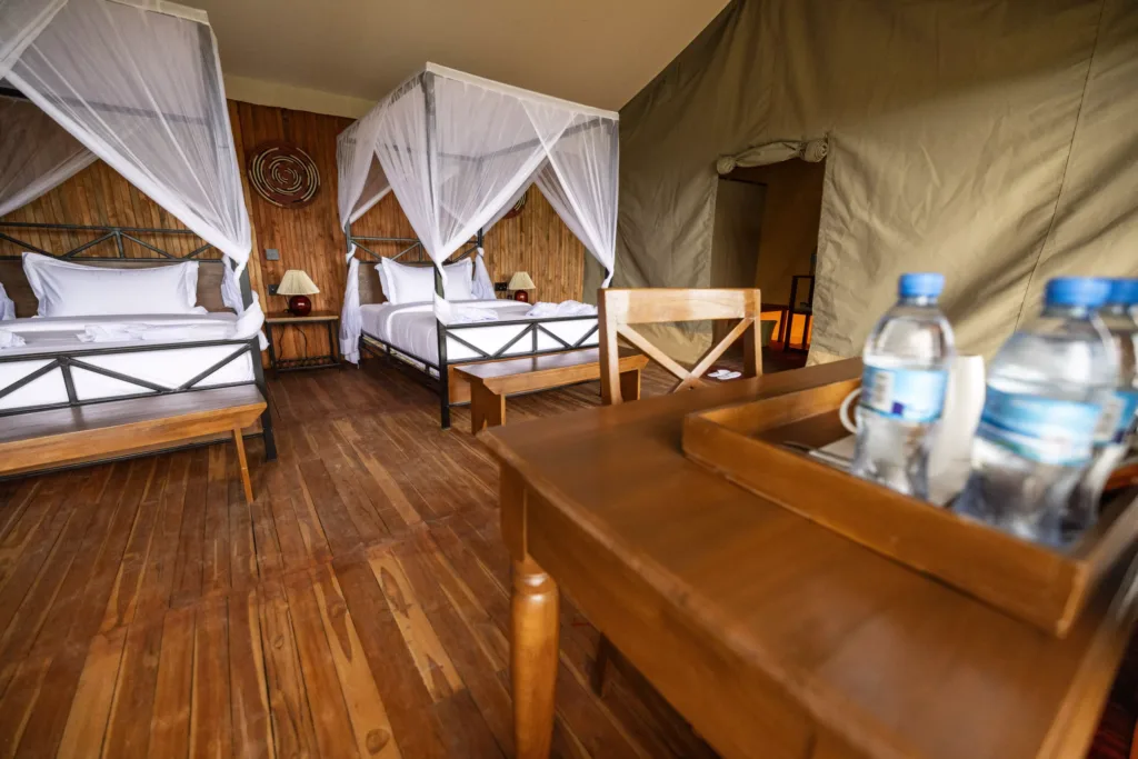 Safari Haven Migration Camp - kogatende - Tanzania Safari Experience