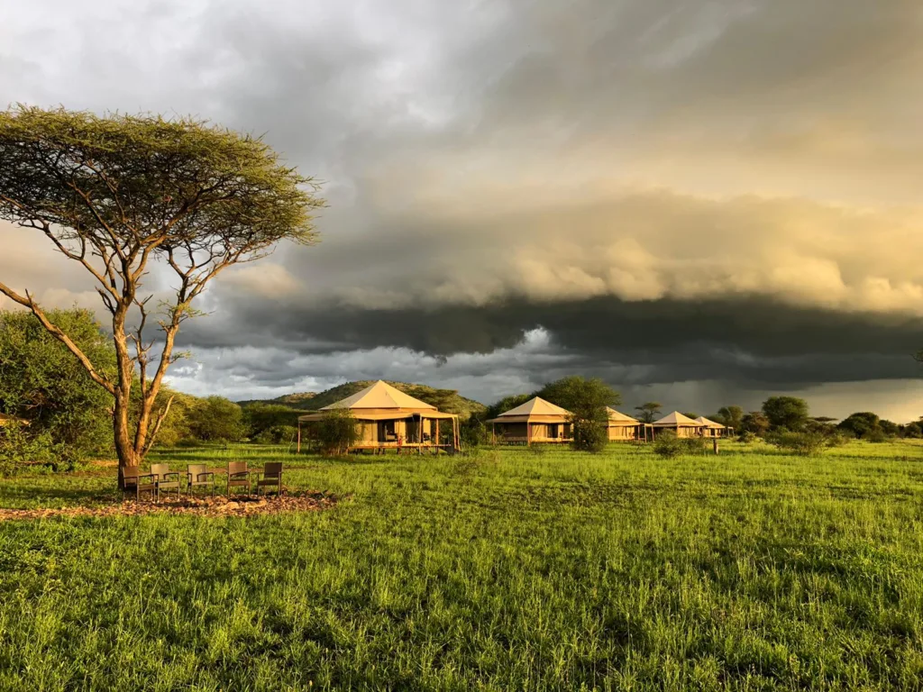 Serengeti Sound of Silence Tented Camp — Luxury Safari Stay