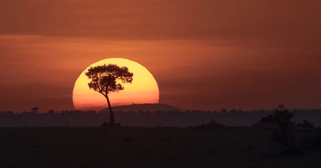 Sundowner in Serengeti Safari Experience - Tanzania Safari Experience