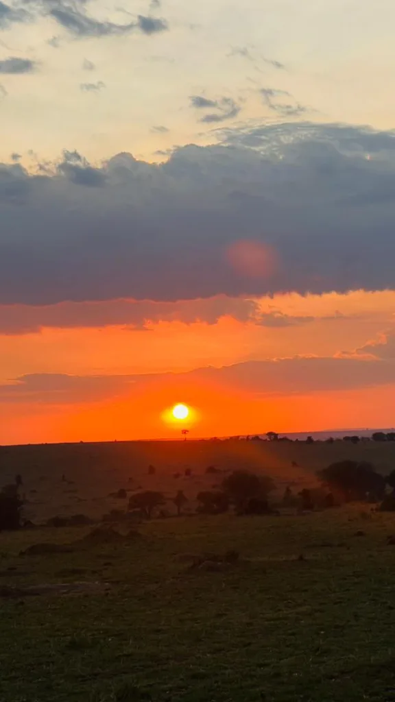 Sundowner in Serengeti Safari Experiences