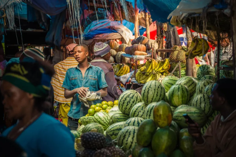 Wander Through Arusha Central Market - Tanzania Safari Experience