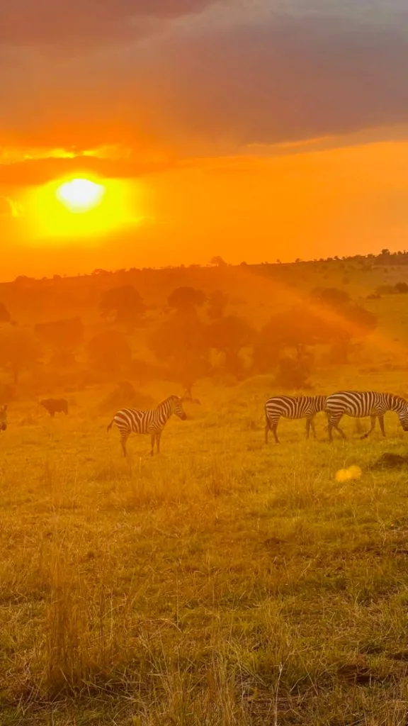 What Is a Sundowner in Serengeti Safari Experience