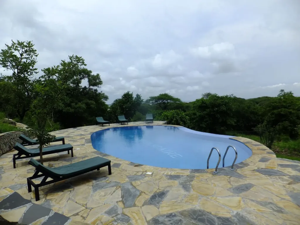 sangaiwe tented lodge, Pool View - Tarangire National Park