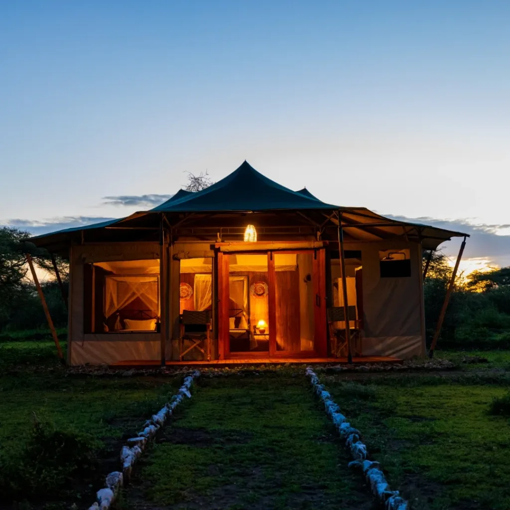 Safari Haven Migration Camp - kogatende - Tanzania Safari Experience