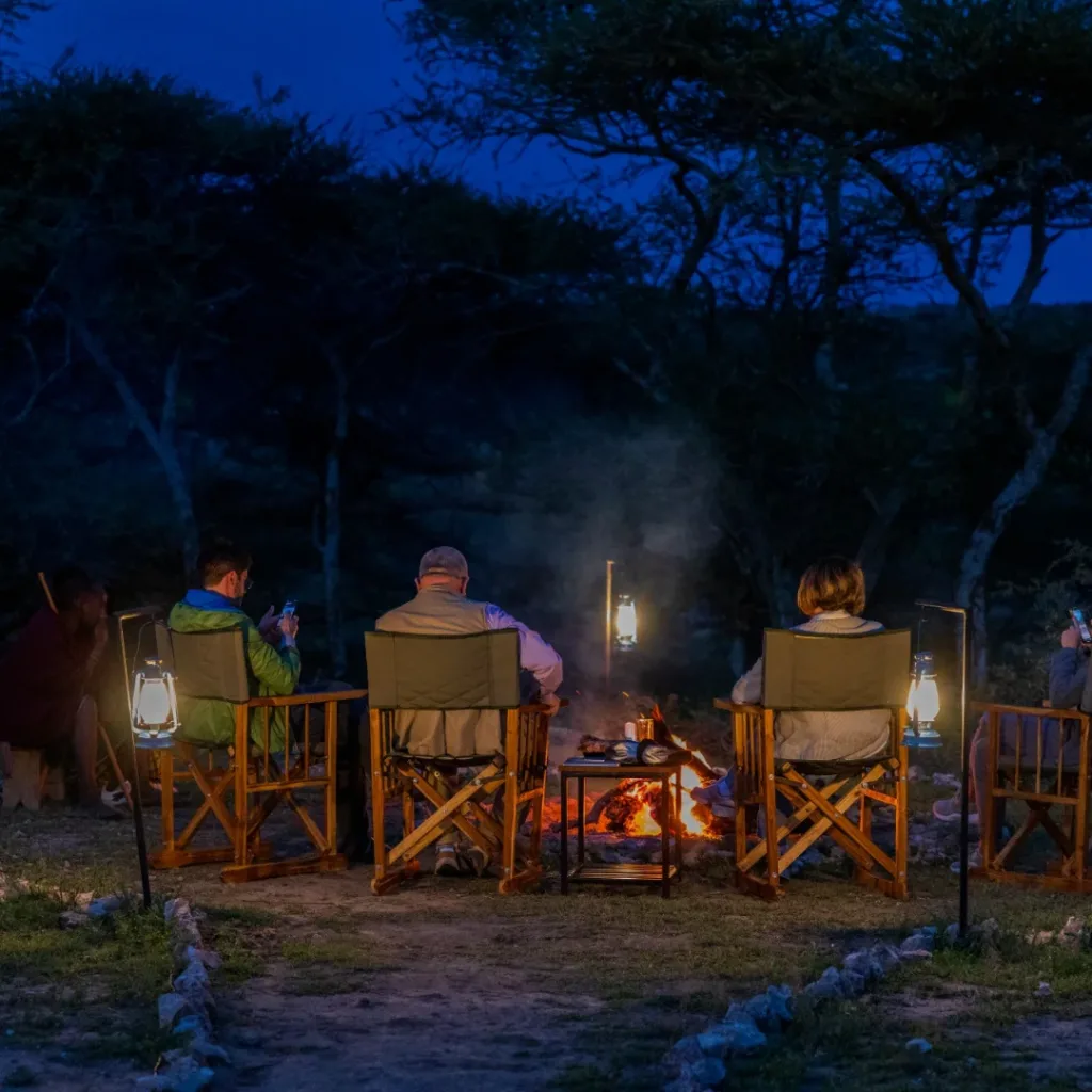 Safari Haven Migration Camp - kogatende - Tanzania Safari Experience