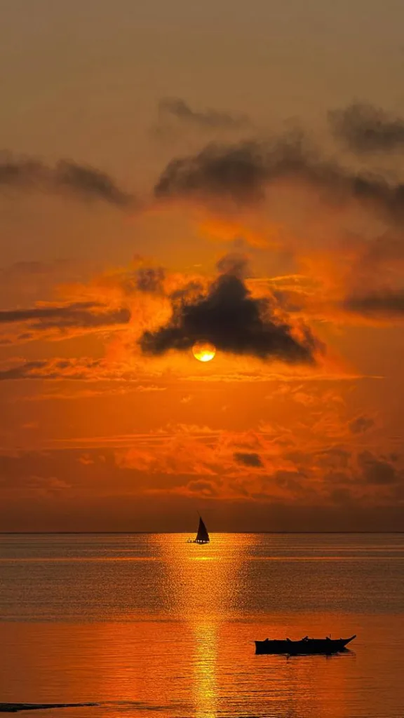 Zanzibar Excursions Photo - Tanzania Safari Experience