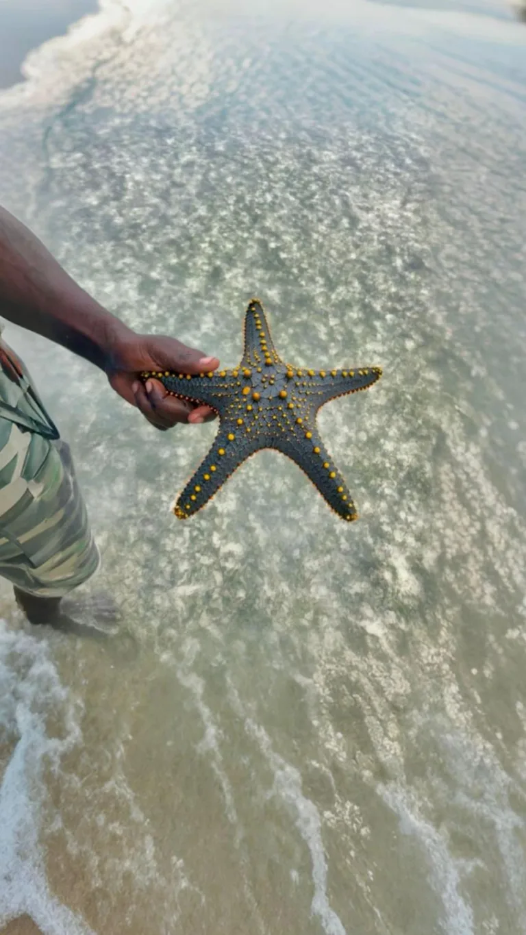 Zanzibar Island Beach Holidays Photo Gallery - Tanzania Safari Experience