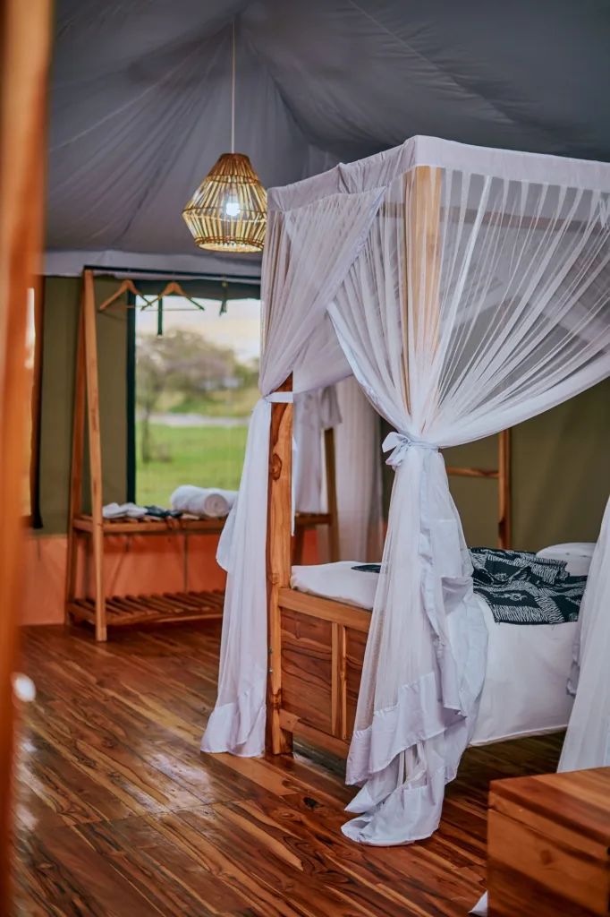 Land Of Nature - Serengeti National Park - Tanzania Safari