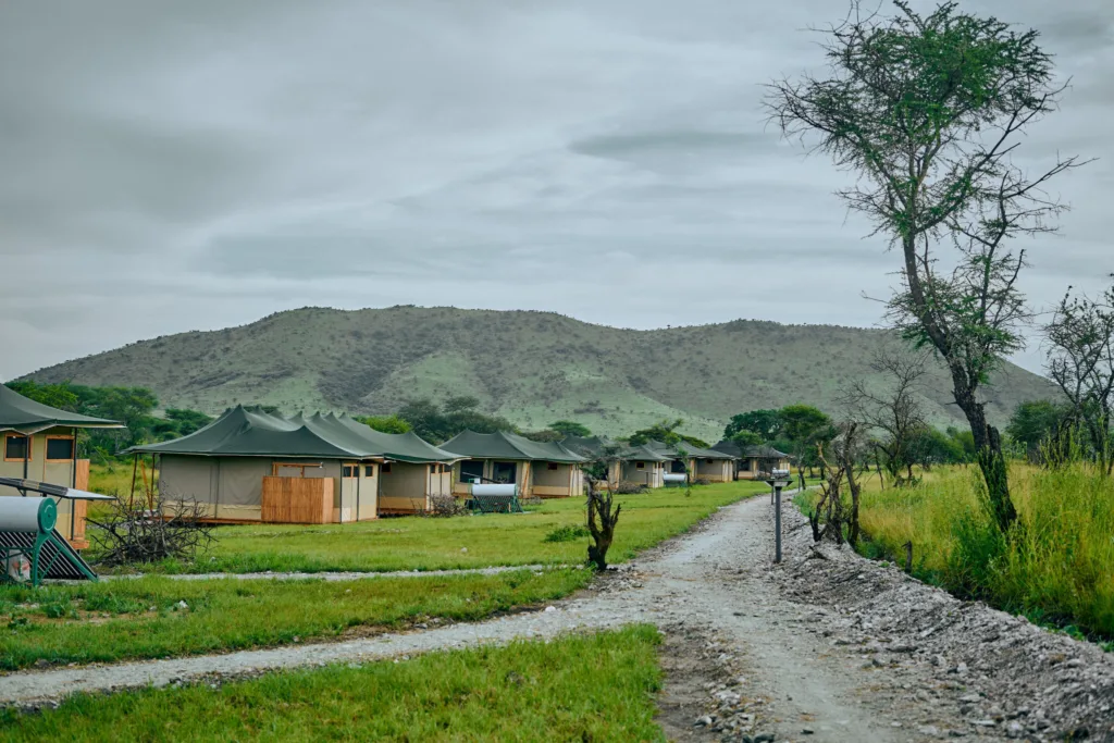 Tanzania Safari for Chinese Travelers Land Of Nature - Serengeti National Park