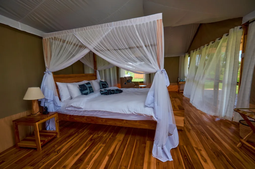 Land Of Nature - Serengeti National Park - Tanzania Safari