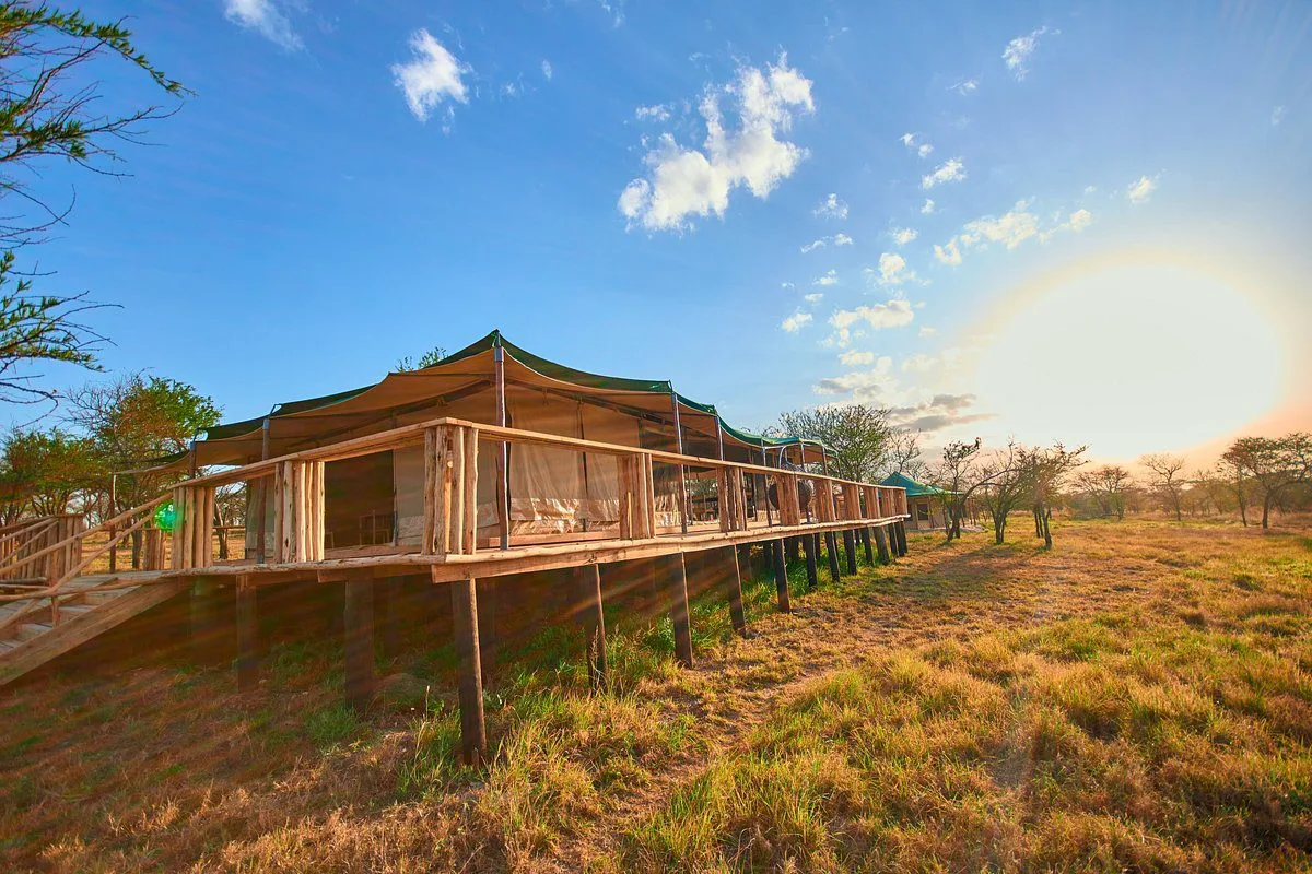 Moyo Migration Tented Camp - Tanzania Safari Experience