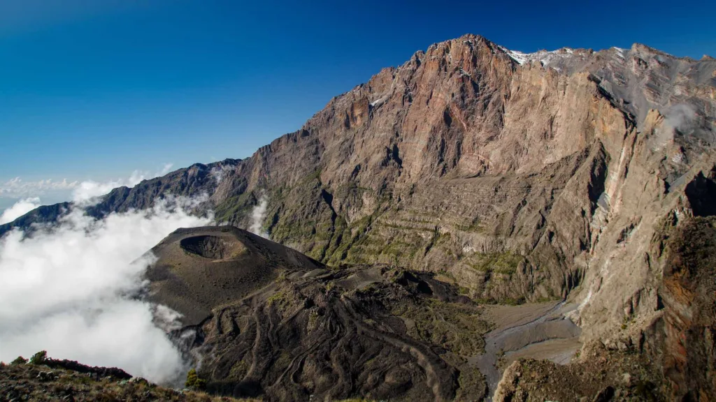 3 Days Mount Meru Trekking - Tanzania Safari Experience