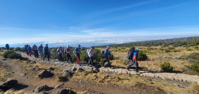 Altitude Sickness Prevention Strategies for Kilimanjaro