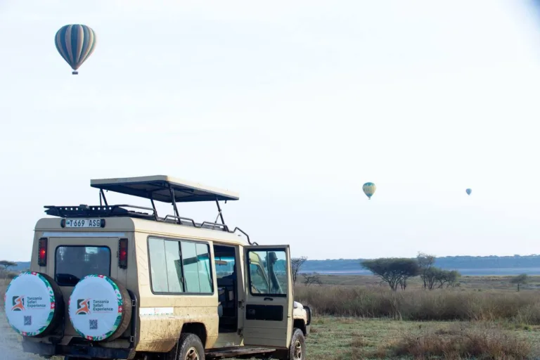 How to Get a Free Tanzania Safari Quotation