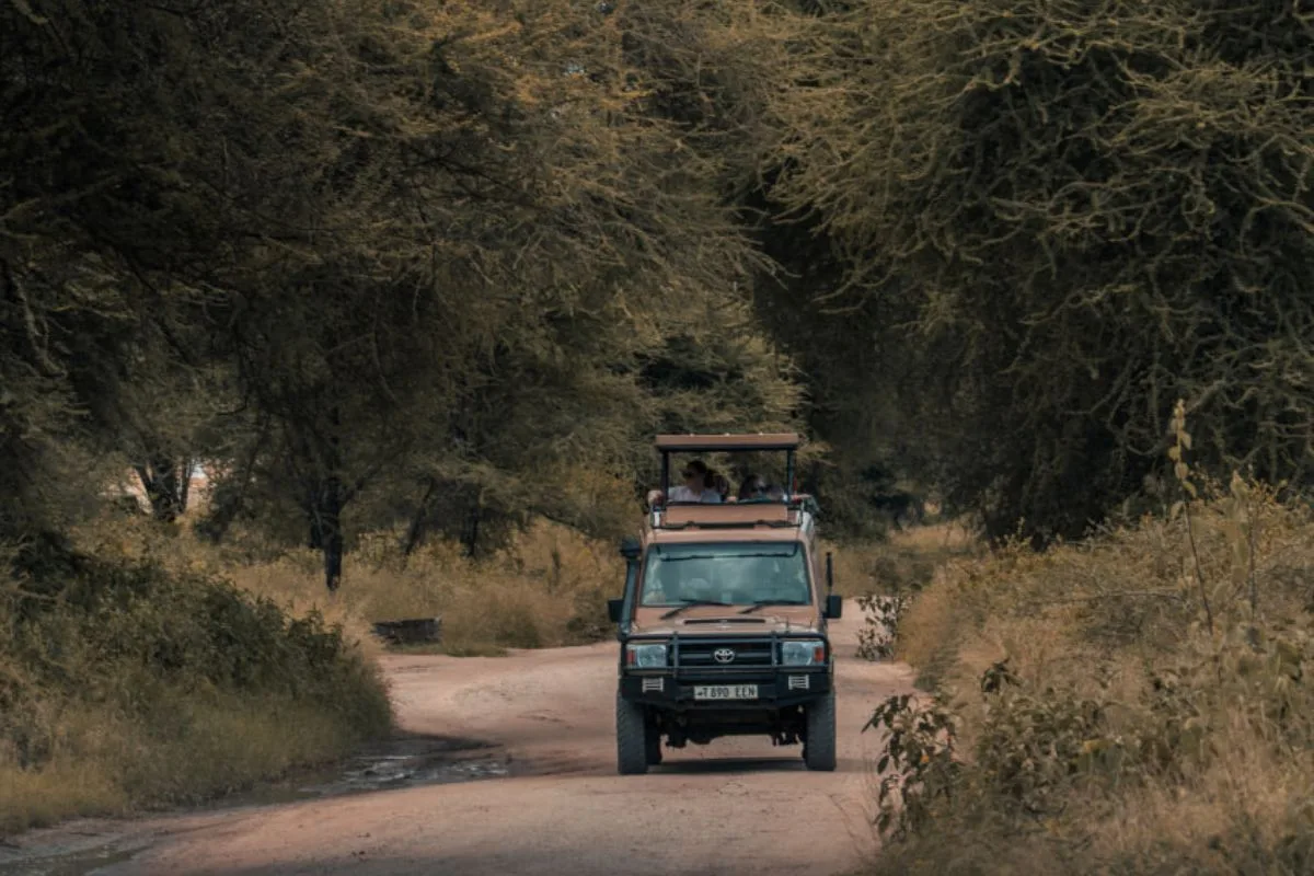 Safety Comes First - Tanzania Safari