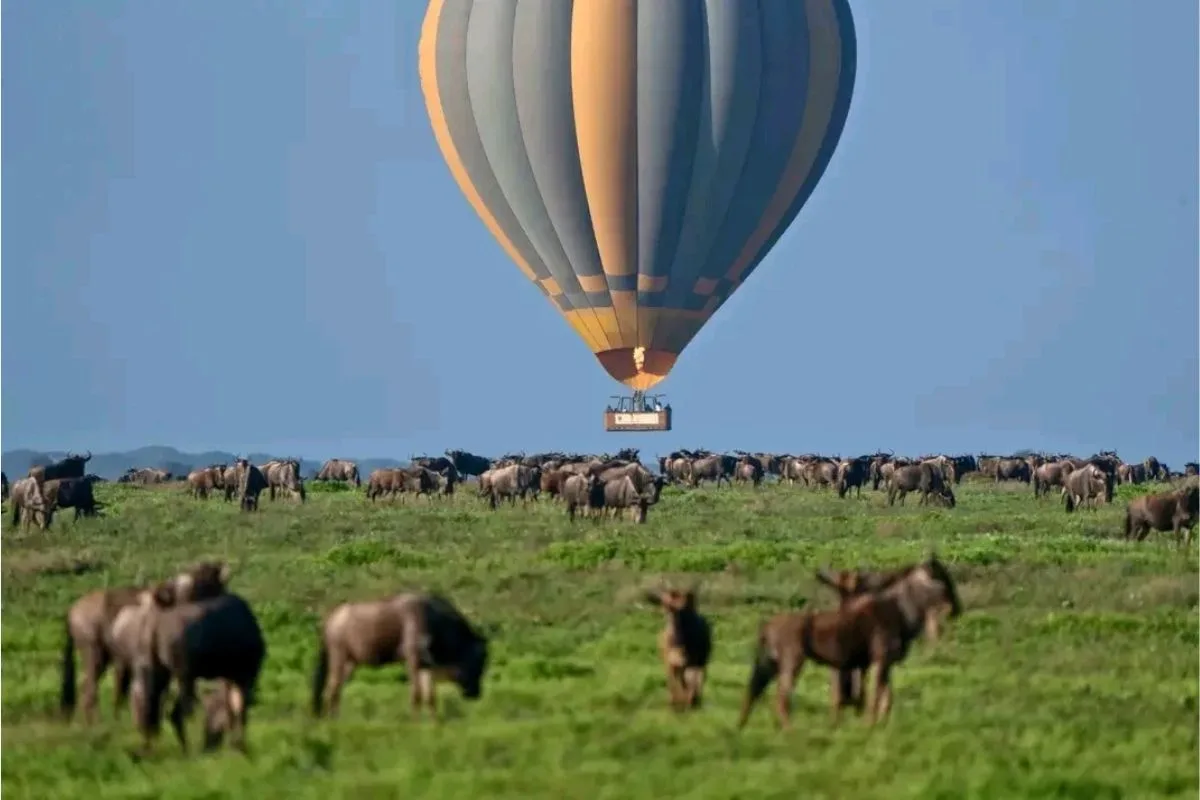 Serengeti Hot Air Balloon Safari - Tanzania Safari Experience