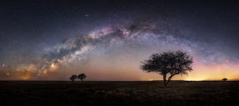 Stargazing In The Serengeti — Safari Tours