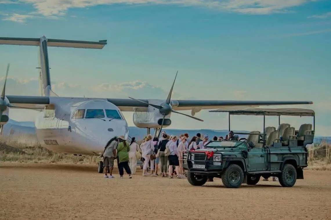 Read more about the article THE 15 BEST Tanzania Safari Experience