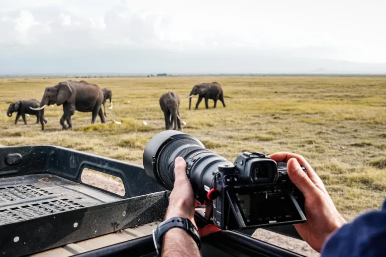 Best Camera for African Safari